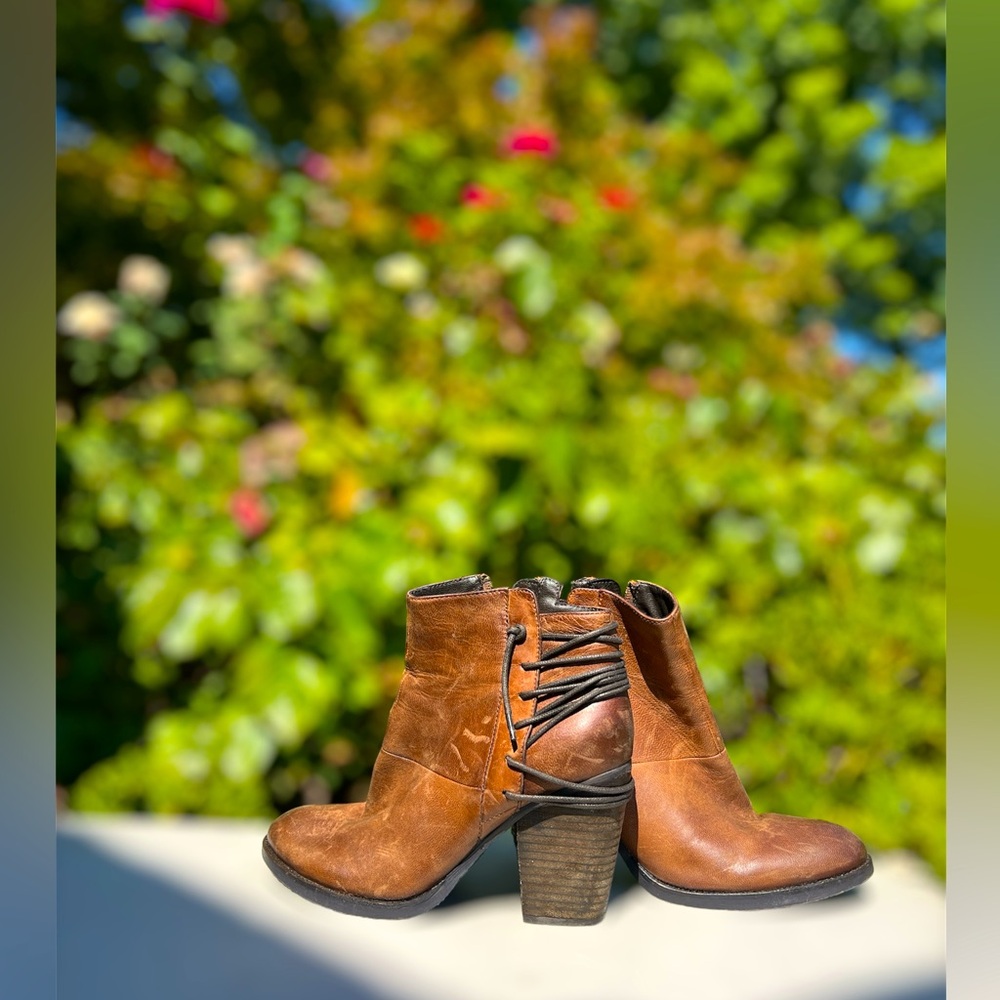 Steve Madden Ankle boots
